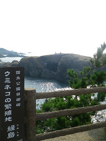 b0102728_12293851.jpg