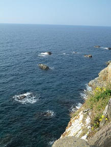 b0102728_123023100.jpg