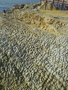b0102728_12303629.jpg
