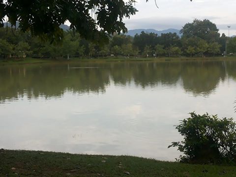 f0001835_1327526.jpg