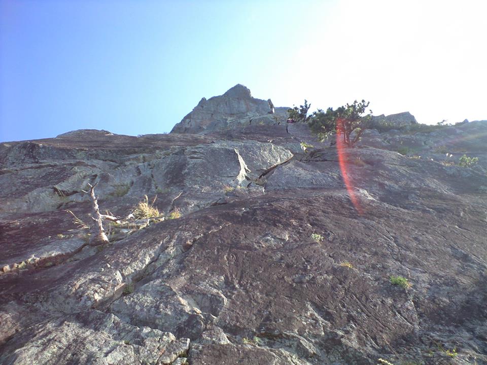 d0107938_1224485.jpg