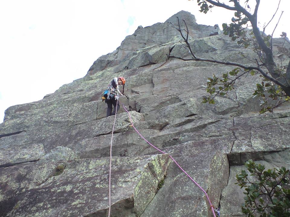 d0107938_12261332.jpg