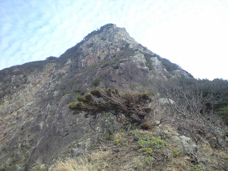 d0107938_12374555.jpg