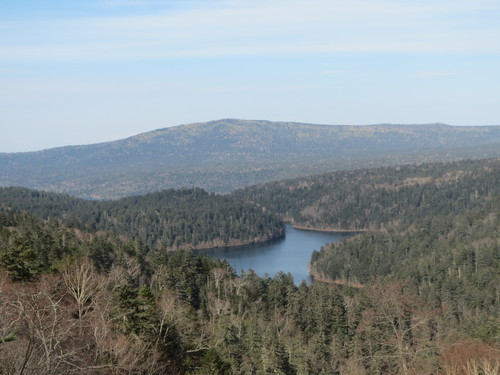 e0259738_6592175.jpg