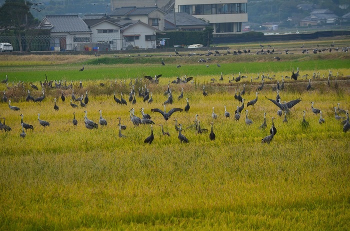 a0146442_9323981.jpg
