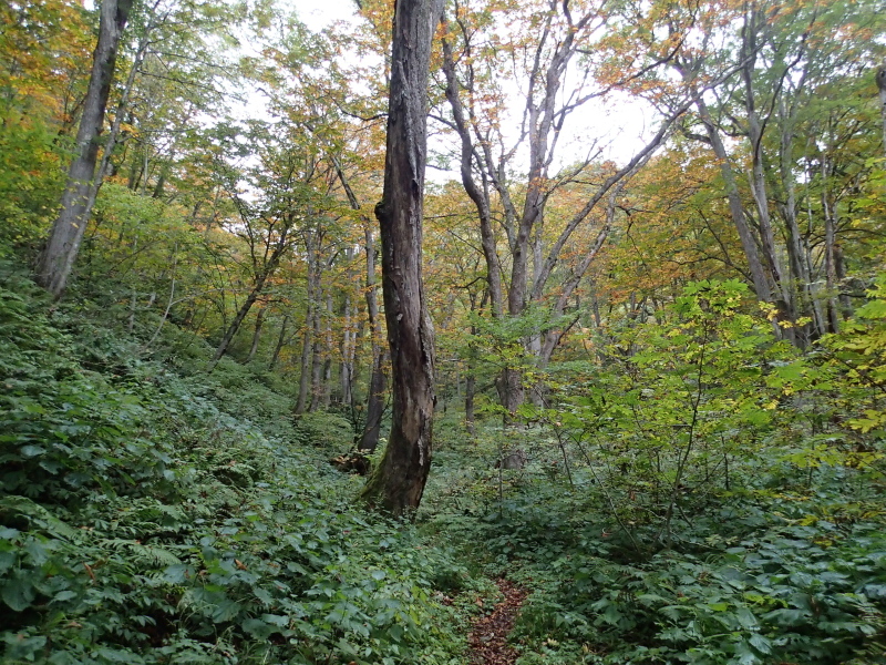 b0190242_2012582.jpg