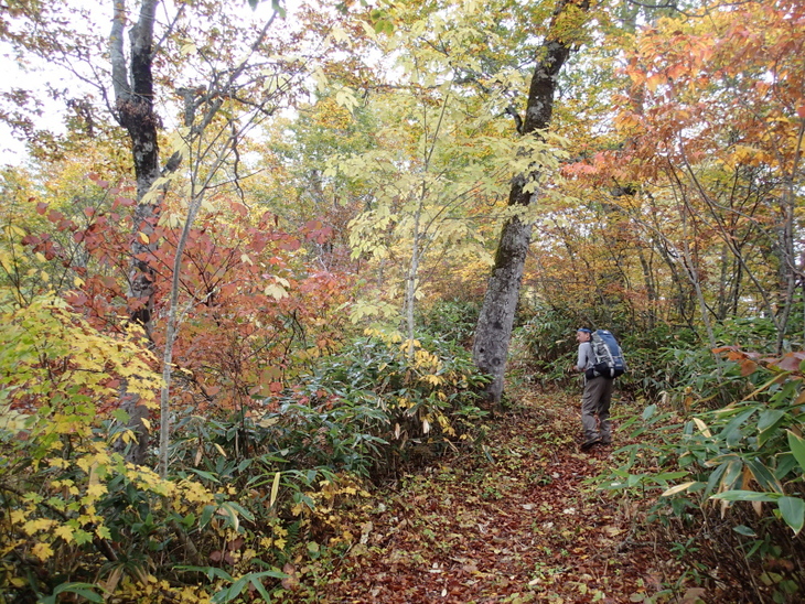 b0190242_2013317.jpg
