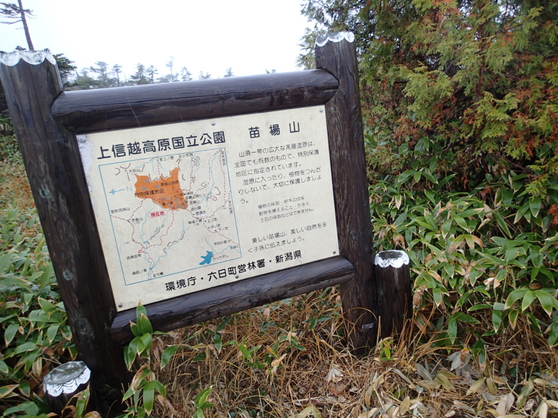 b0190242_2018998.jpg