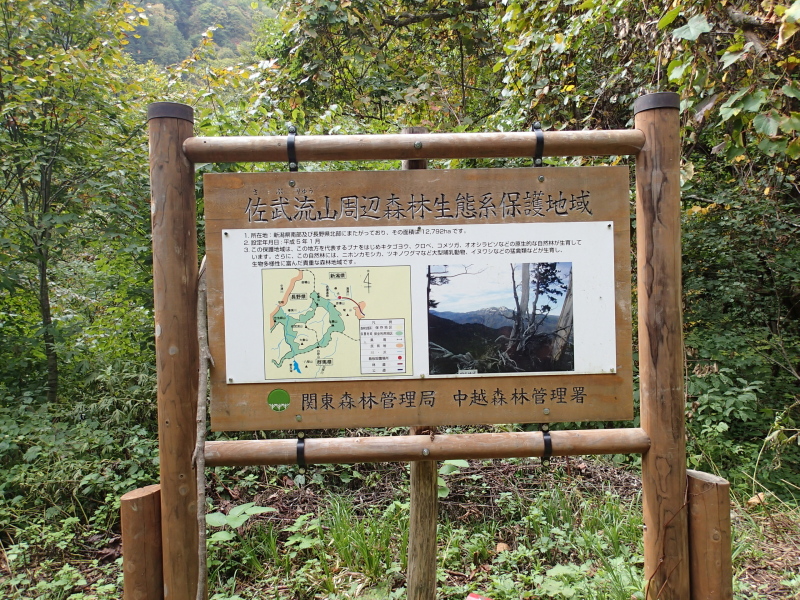 b0190242_2024313.jpg