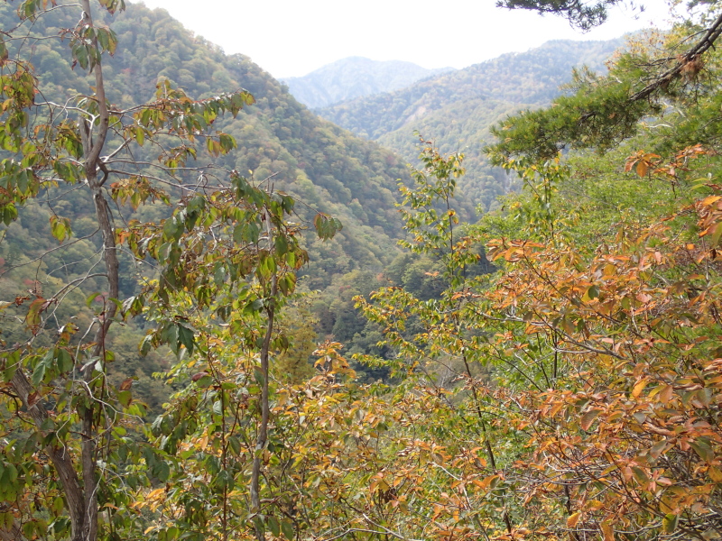 b0190242_2031155.jpg