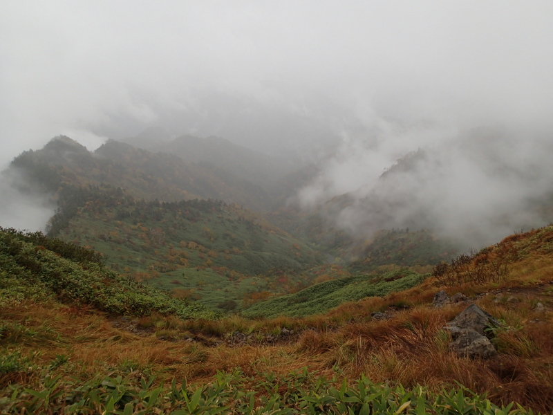 b0190242_203588.jpg