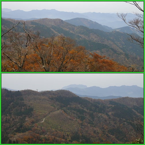 e0164643_1525449.jpg