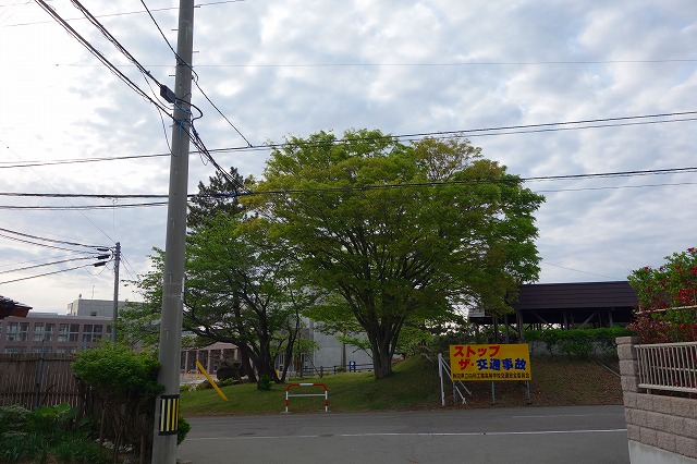 c0248067_9521131.jpg