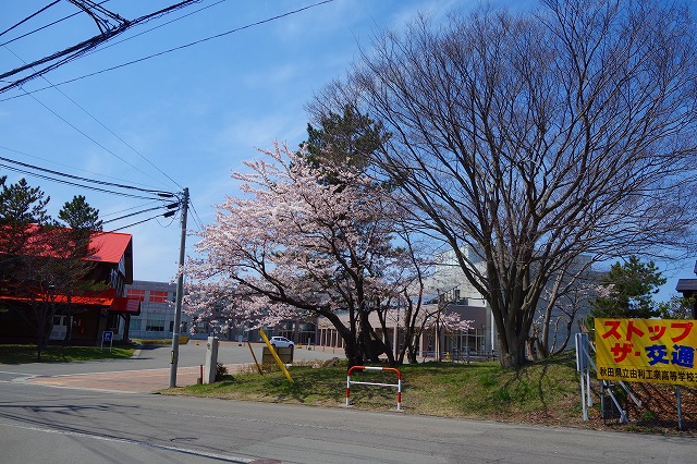 c0248067_9524984.jpg