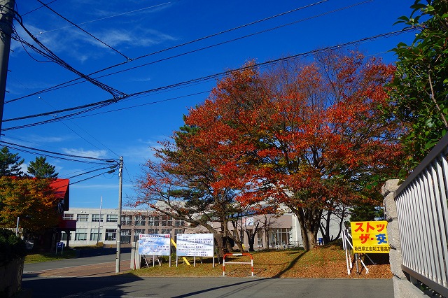 c0248067_9572017.jpg