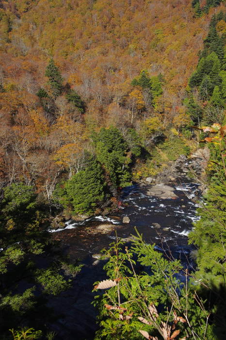 e0307372_12014694.jpg
