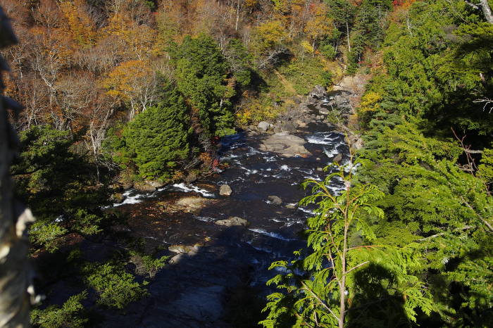 e0307372_12025283.jpg