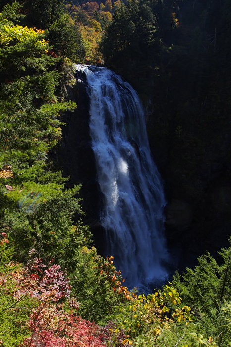 e0307372_13414783.jpg