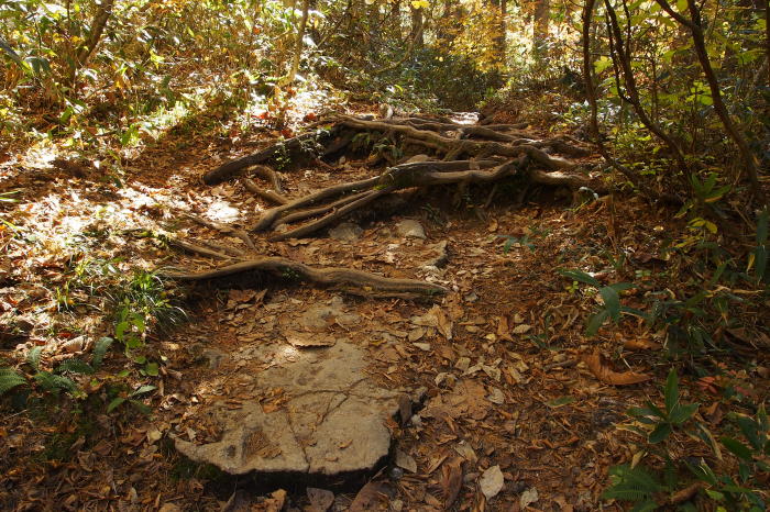 e0307372_13493233.jpg