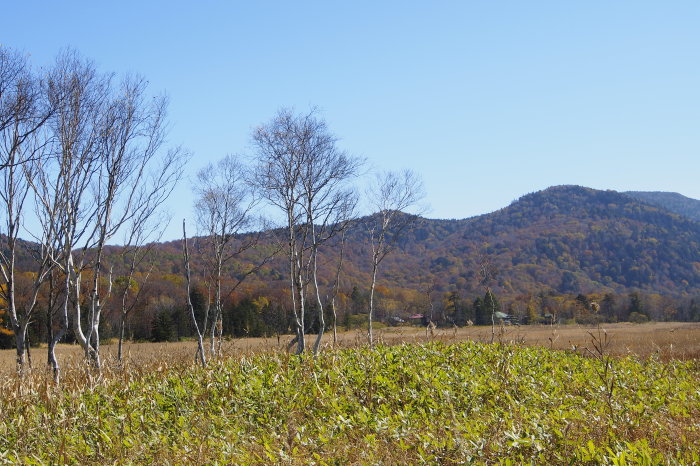 e0307372_14094196.jpg