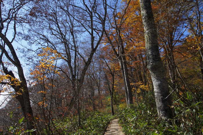 e0307372_14184409.jpg