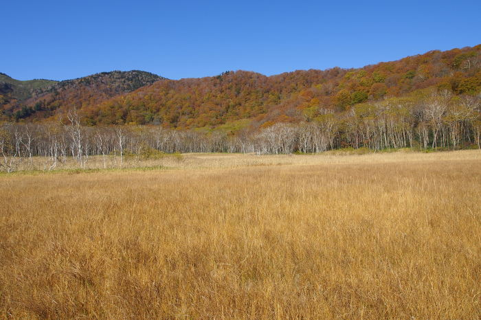 e0307372_14294083.jpg