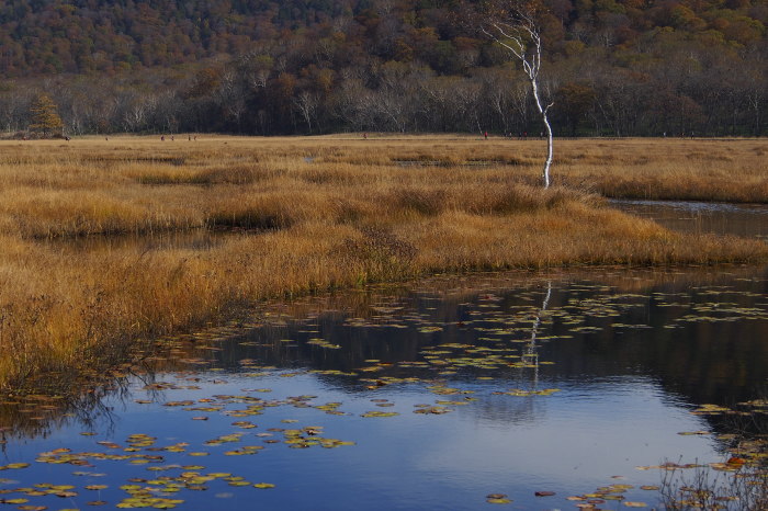e0307372_14425185.jpg