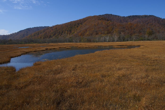 e0307372_14472740.jpg