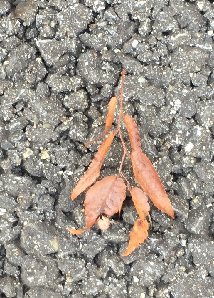 b0188998_22384230.jpg