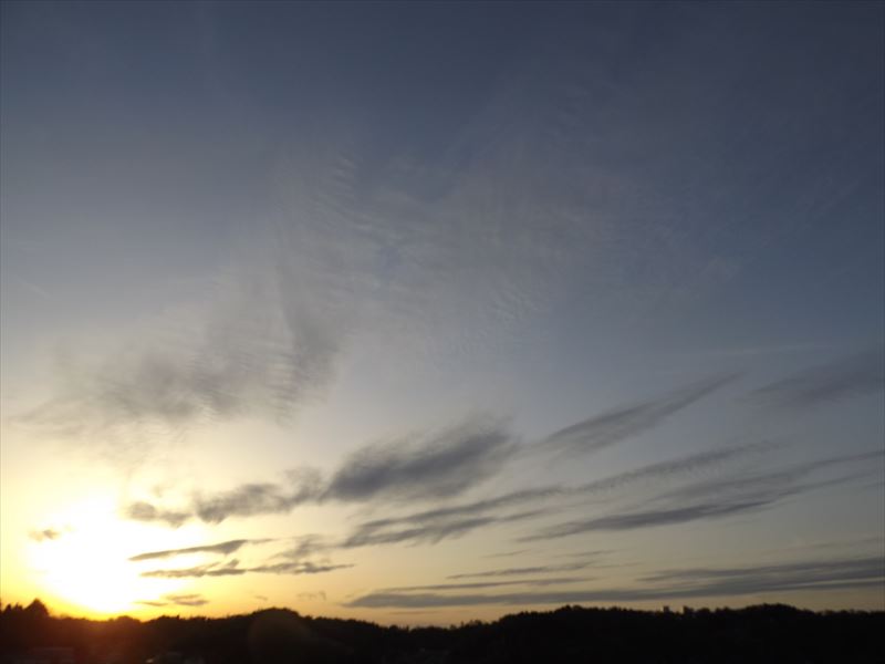 c0108198_1721252.jpg