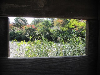 c0152002_17444776.jpg