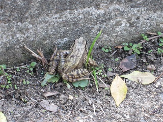 c0152002_17463425.jpg