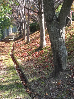 c0152002_17481839.jpg
