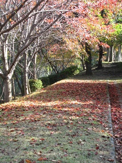 c0152002_17494674.jpg