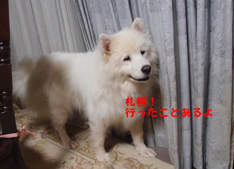 e0018604_17552519.jpg
