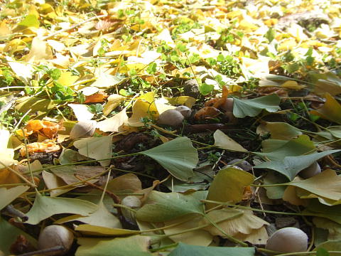 f0161708_23503594.jpg
