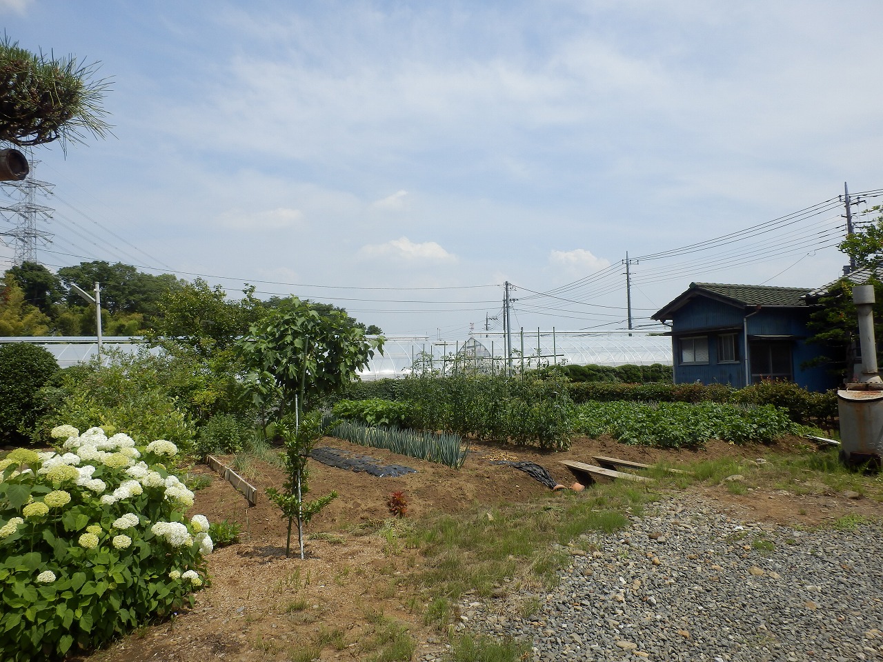 d0013610_17305844.jpg
