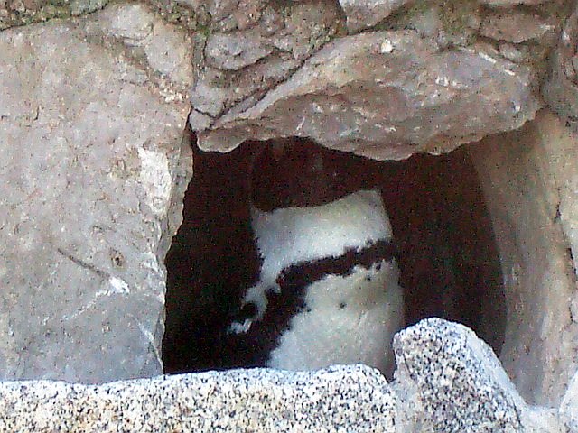 a0019022_5195095.jpg