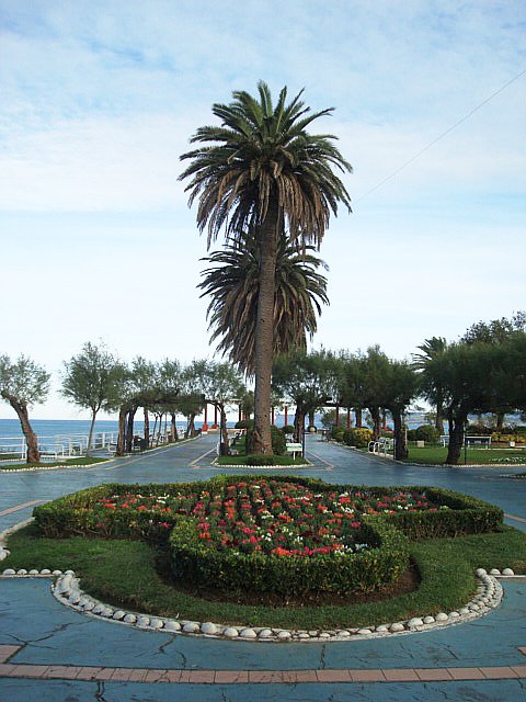 a0019022_519824.jpg