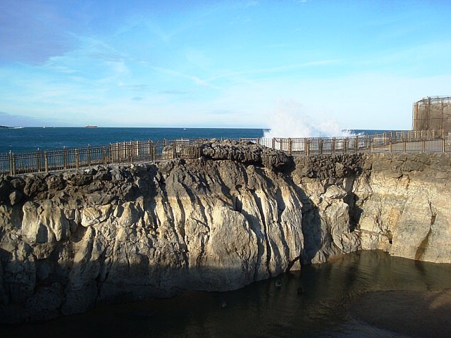 a0019022_520363.jpg