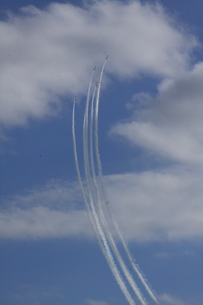 e0071225_1223465.jpg