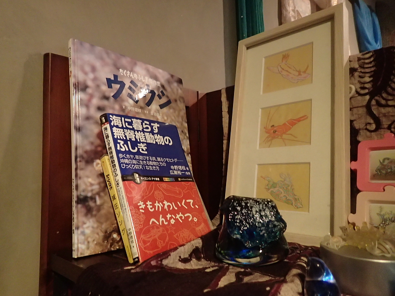 c0034029_0572537.jpg