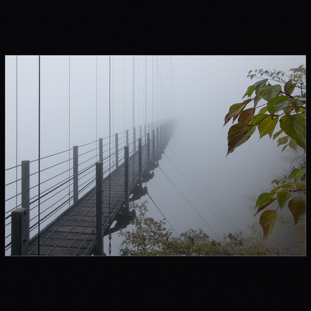 d0004832_9205155.jpg