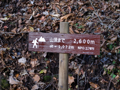 e0272335_19294344.jpg