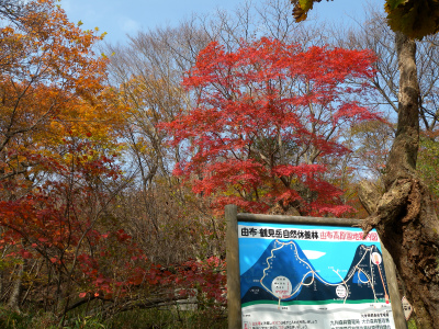 e0272335_20593542.jpg