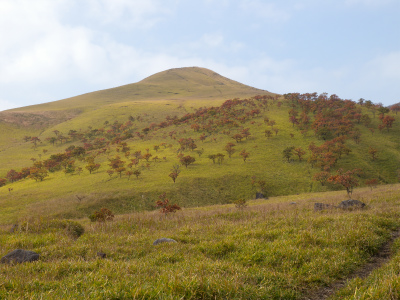 e0272335_210148.jpg