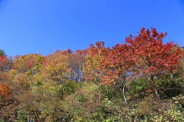 a0242438_20323787.jpg