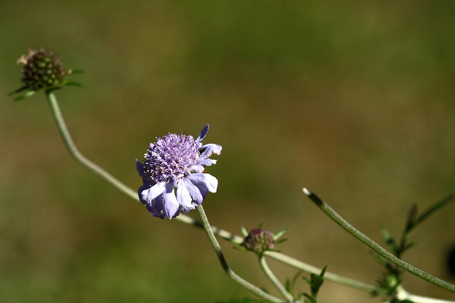 a0242438_20325058.jpg