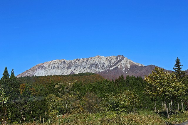a0242438_2033225.jpg