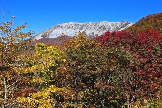 a0242438_20333416.jpg